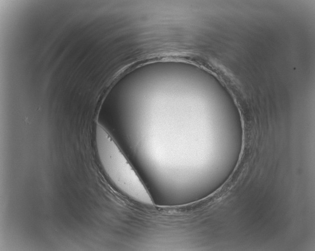 X0000070831169200606191241