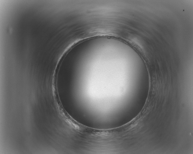 X0000070831182200606191240
