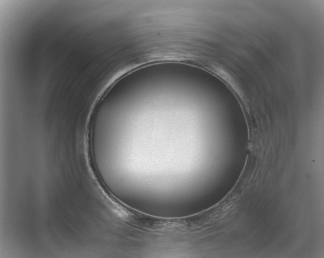 X0000070831187200606191240