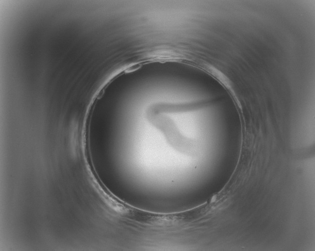 X0000070831195200606191240