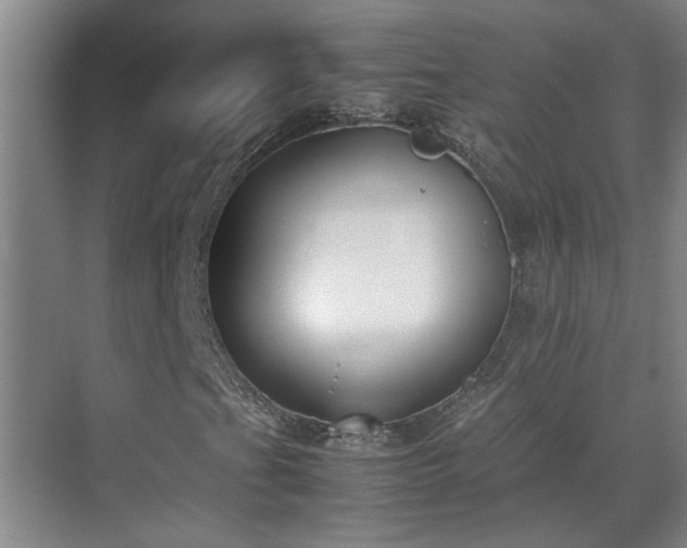 X0000070831201200606191239