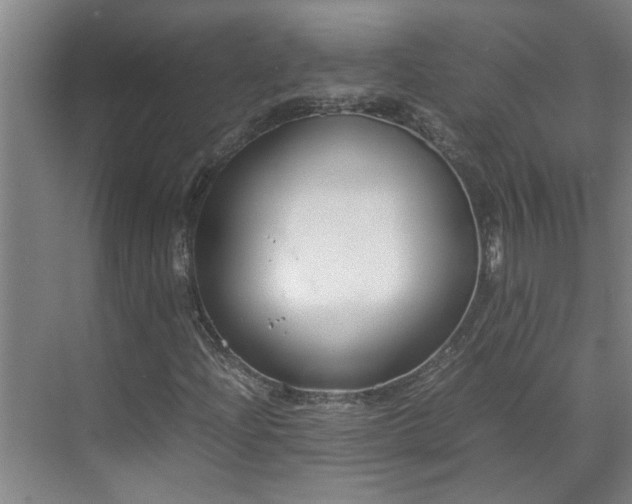 X0000070831204200606191239