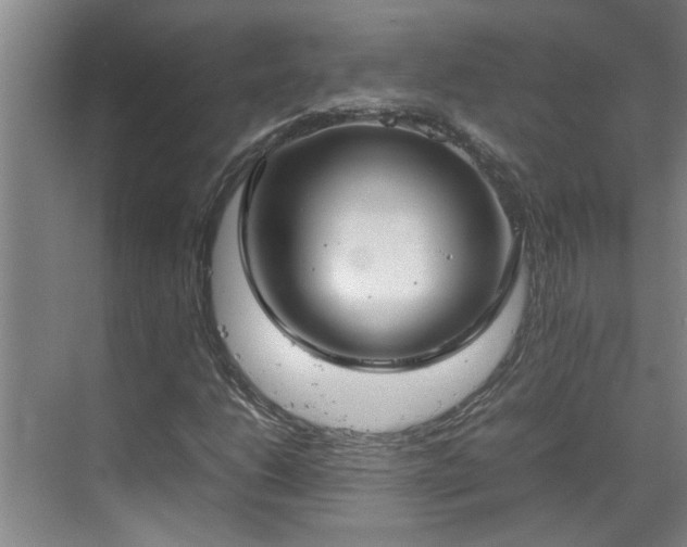 X0000070831206200606191239
