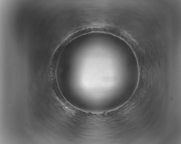 X0000070831208200606191239