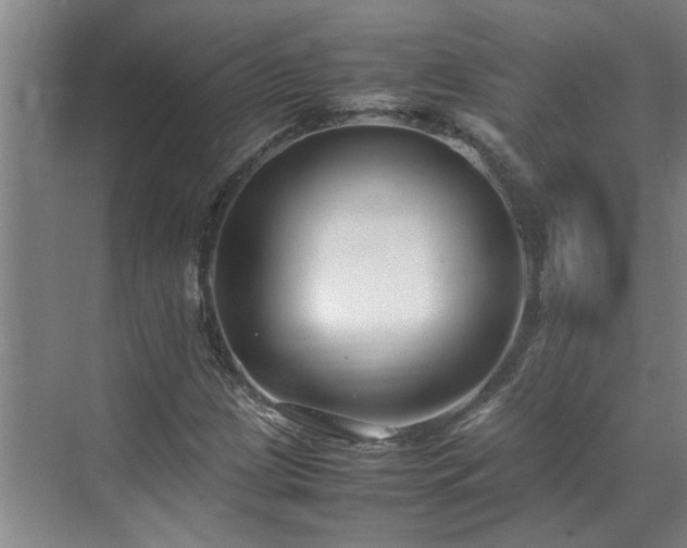 X0000070831209200606191239