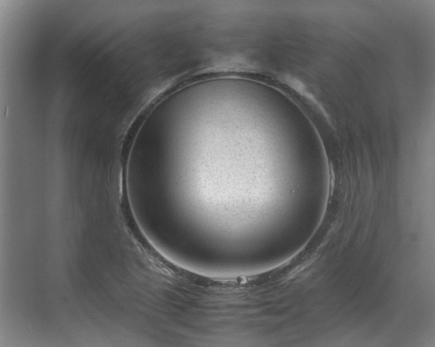 X0000070831221200606191240