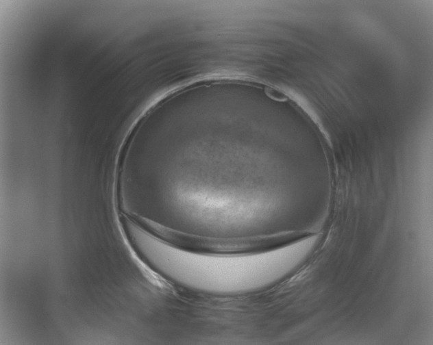 X0000070831245200606191240