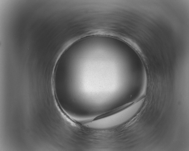 X0000070831247200606191240