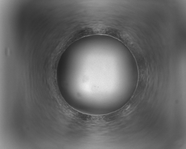 X0000070831249200606191239