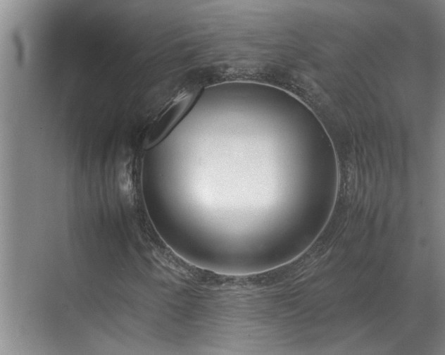 X0000070831250200606191239