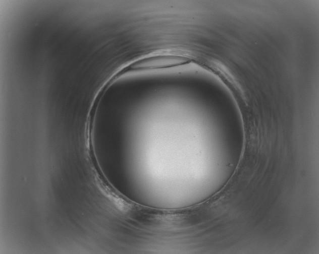 X0000070831276200606191239