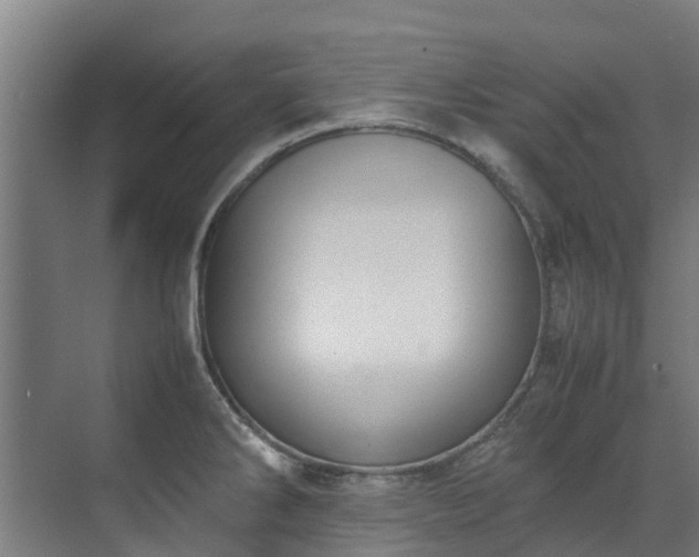 X0000070831286200606191239