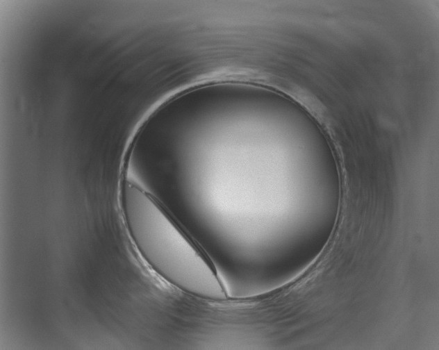 X0000070831296200606191238