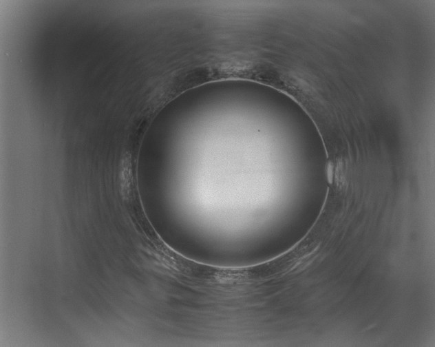 X0000070831299200606191238