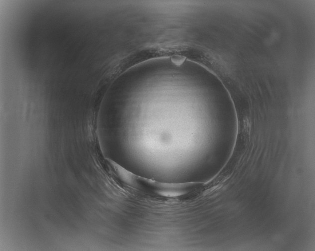 X0000070831300200606191238