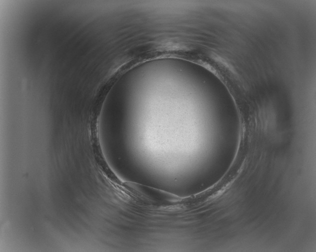 X0000070831305200606191238