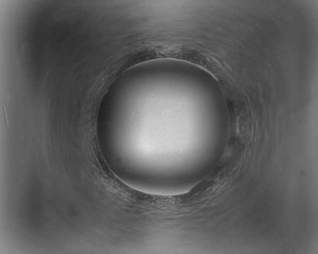 X0000070831345200606191238
