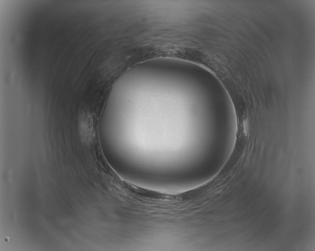 X0000070831347200606191238