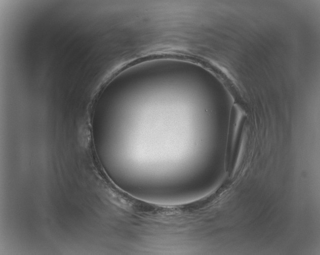 X0000070831363200606191237