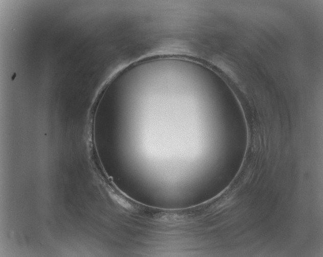 X0000070831366200606191237