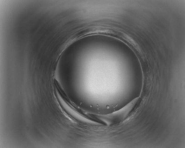 X0000070831377200606191237