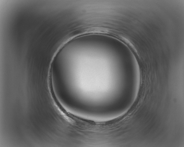 X0000070831379200606191237