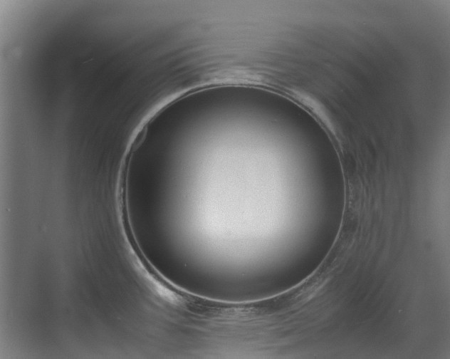X0000070831387200606191237