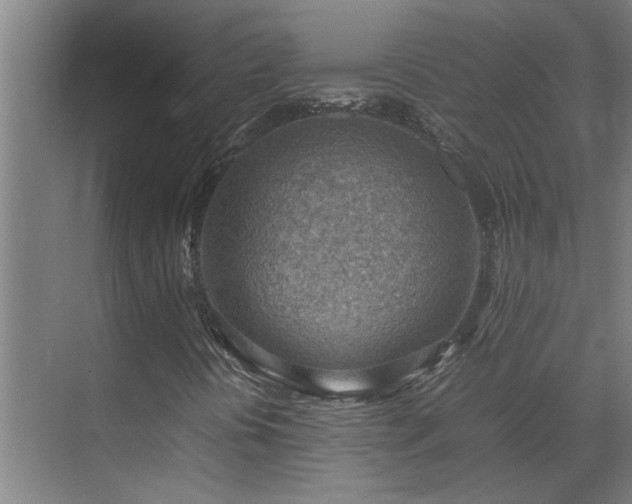 X0000070831394200606191236