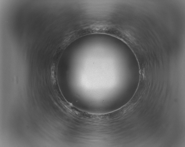X0000070831396200606191236