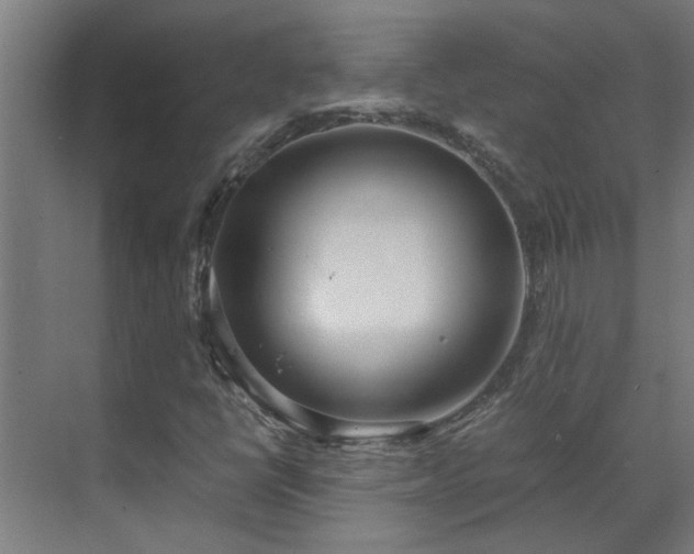 X0000070831398200606191236
