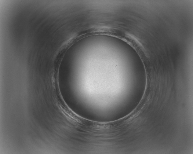 X0000070831403200606191236