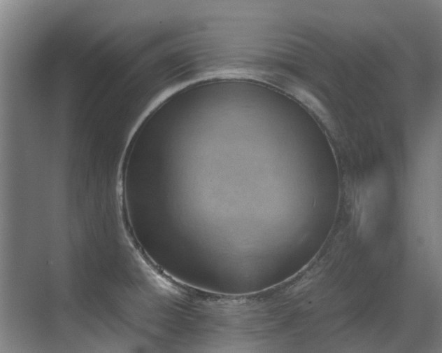 X0000070831428200606191237