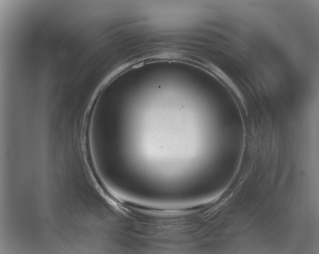 X0000070831437200606191237