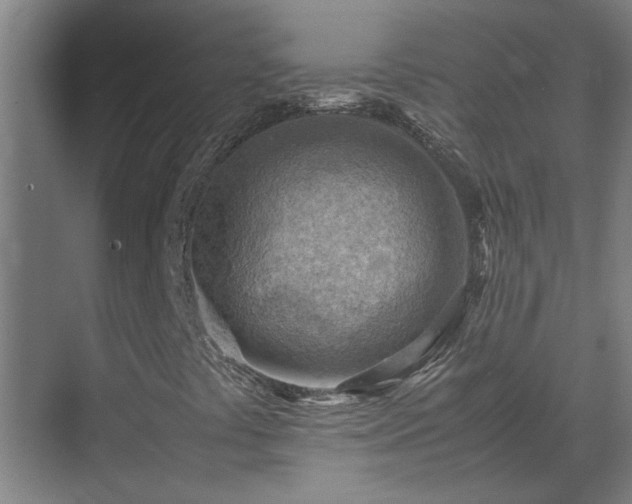 X0000070831441200606191236