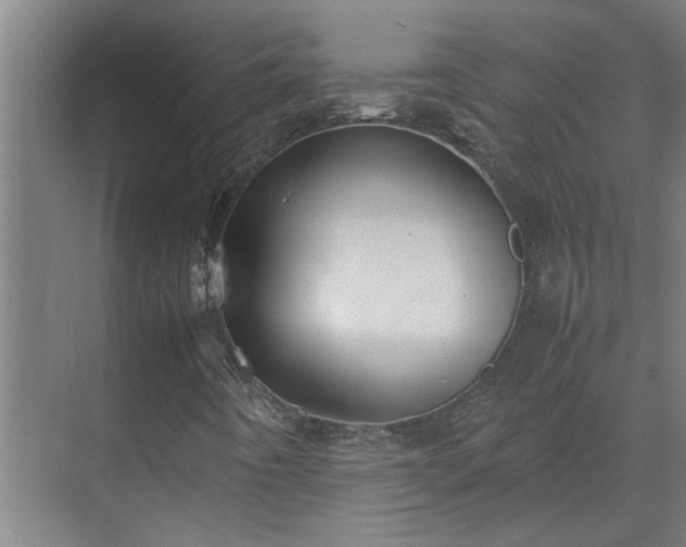 X0000070831442200606191236