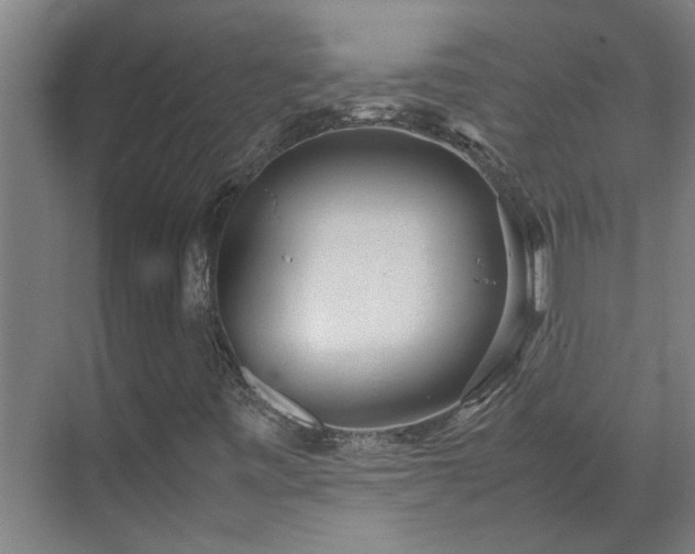 X0000070831443200606191236