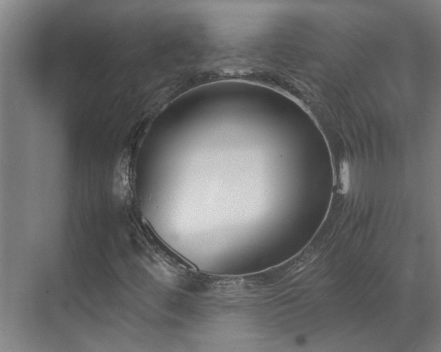 X0000070831444200606191236