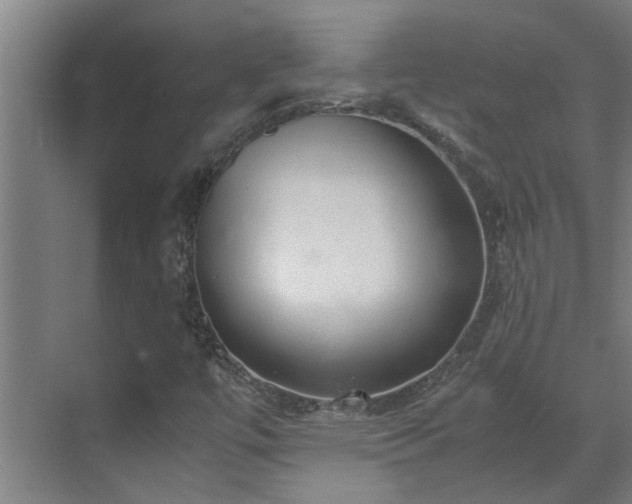 X0000070831447200606191236