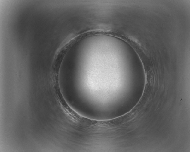 X0000070831448200606191236