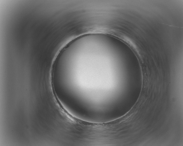 X0000070831480200606191235