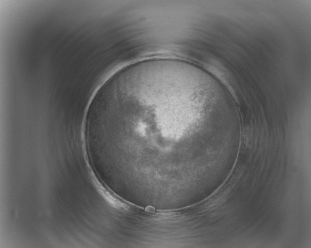 X0000070831482200606191235