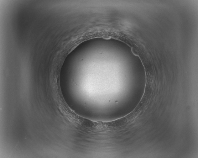 X0000070831489200606191234