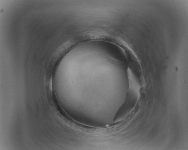 X0000070830019200606230958