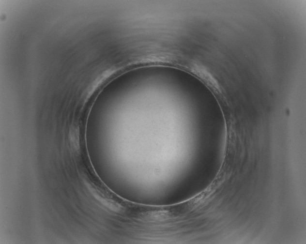 X0000070830108200606230956