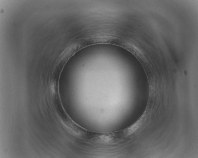 X0000070830166200606230955