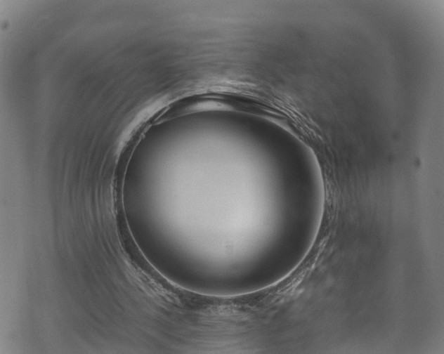 X0000070830244200606230953
