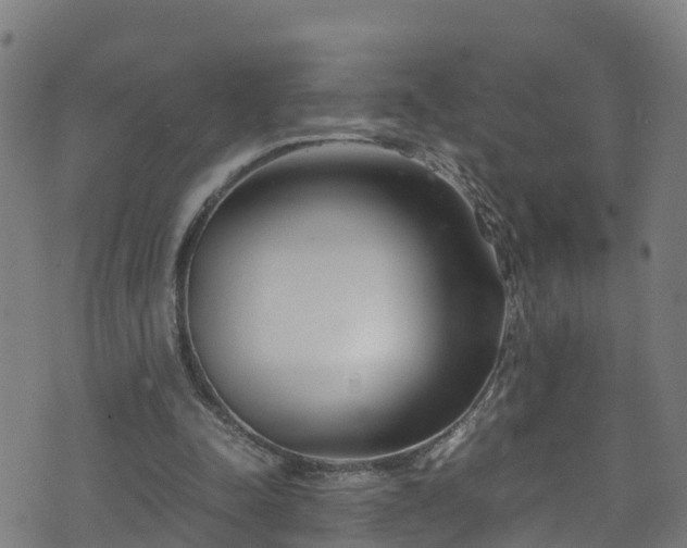 X0000070830342200606230952