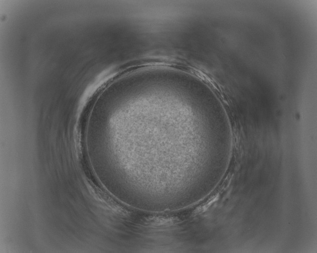 X0000070830343200606230952