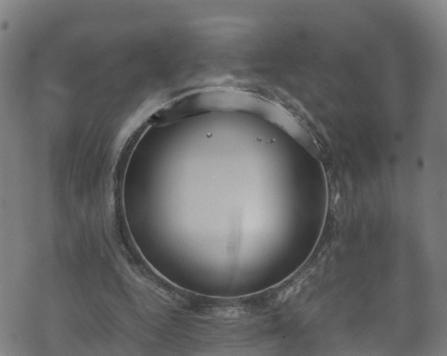 X0000070830344200606230952