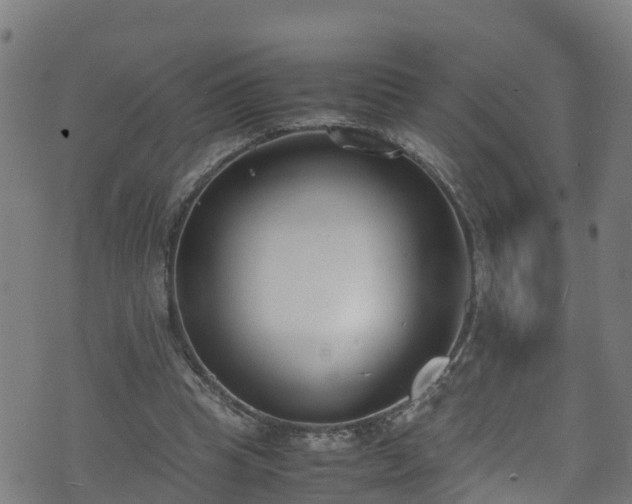 X0000070830345200606230952